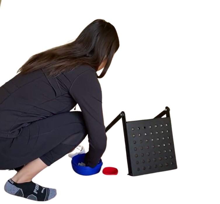 FCE sustained crouch position task assessment.