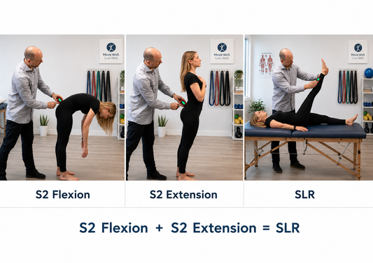 Why Compare Straight Leg Raise With Lumbar Flexion During an FCE?